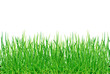 Herbes folles