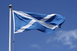 Scotland flag Scotland flag