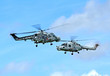 Royal Navy Black Cats Royal Navy Black Cats