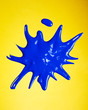 Paint Splash