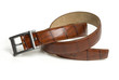 belt 15