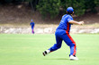 Cricket Game