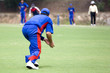 Cricket Game