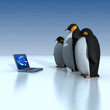penguins