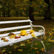 Autumn Autumn
