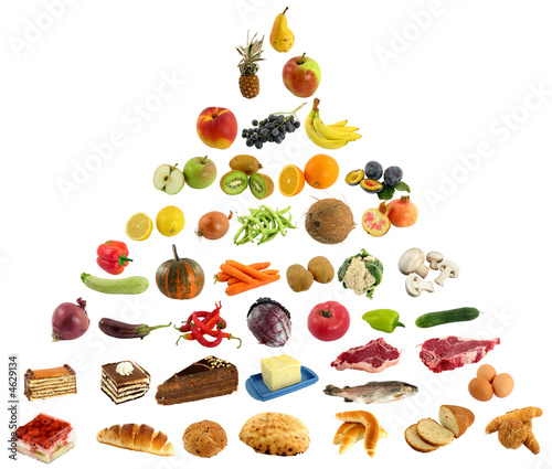 food chain pyramid. food pyramid v3 (larger