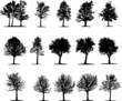 Trees (vector)