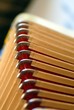 soufflet d'un accordéon soufflet d'un accordéon
