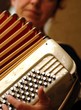 accordéon et son accordéoniste