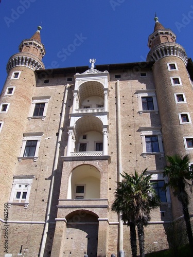 urbino 2