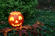 Carved Jack-o-Lantern Halloween pumpkins