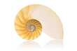 Foto: Split Nautilus Split Nautilus