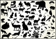 lots of animals vectors with scents