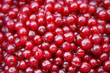red currants