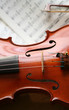Violine_5