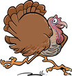 A running, happy Turkey A running, happy Turkey