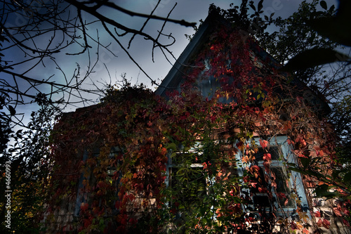 Photo: Haunted house Haunted house