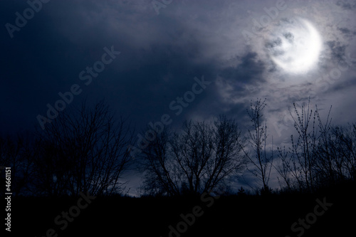 autumn night