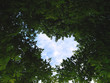 Celestial heart Celestial heart