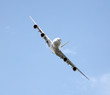 airbus A 380 airbus A 380