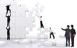 business team work