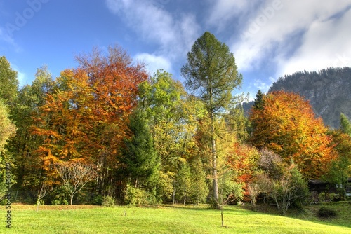 Foto: Herbst Herbst