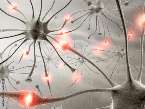 Illustration: Neurons Neurons