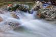 Rocks in a stream