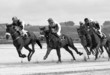 course galop 13