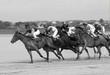 course galop 10
