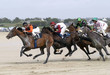 course galop 9