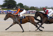 course galop 8