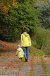 Autumn walk 