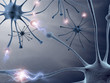 Neurons