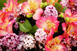 bouquet of mixed flowers