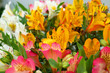  backdrop of beautiful flowers