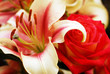 backdrop of red and white flowers