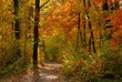 Fall