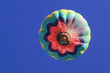 Hot Air Balloon