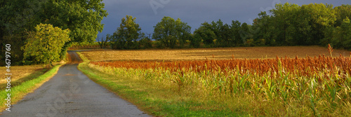 route mouillée