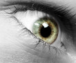 Auge Makro SW-SC Auge Makro SW-SC