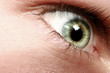 Auge Makro Auge Makro