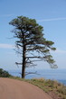 Massif de l'Esterel (Mediterranée French Riviera)
