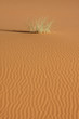obstination 3