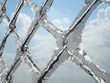 Frozen net