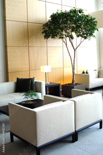 Living room with plant Living room with plant