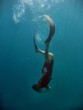 Freediver
