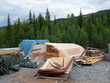 Building Timber