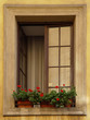 old window