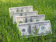 money grow money grow